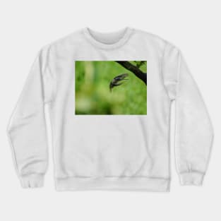 Slb inflight Crewneck Sweatshirt